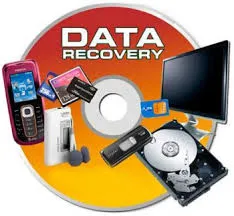 Data Recovery Services (HD/ SD Card/ Flash Drive)